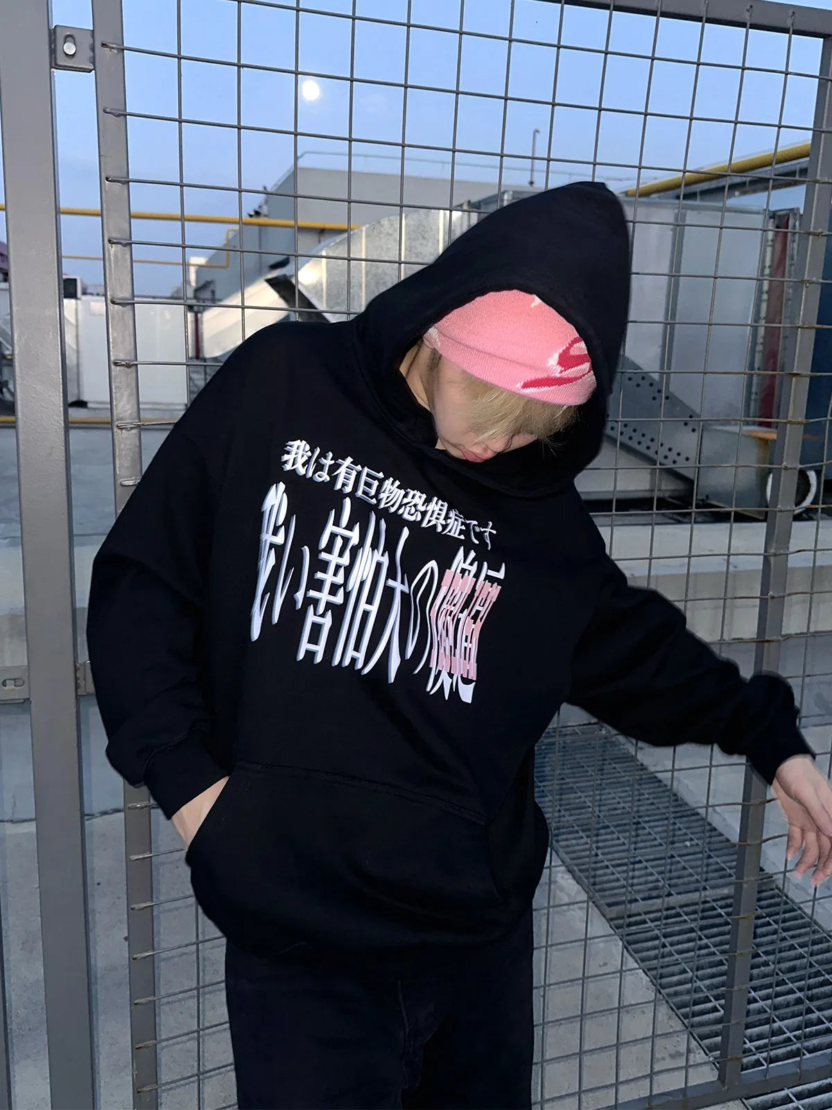 The Heavyweight Parody Graphic Hoodie