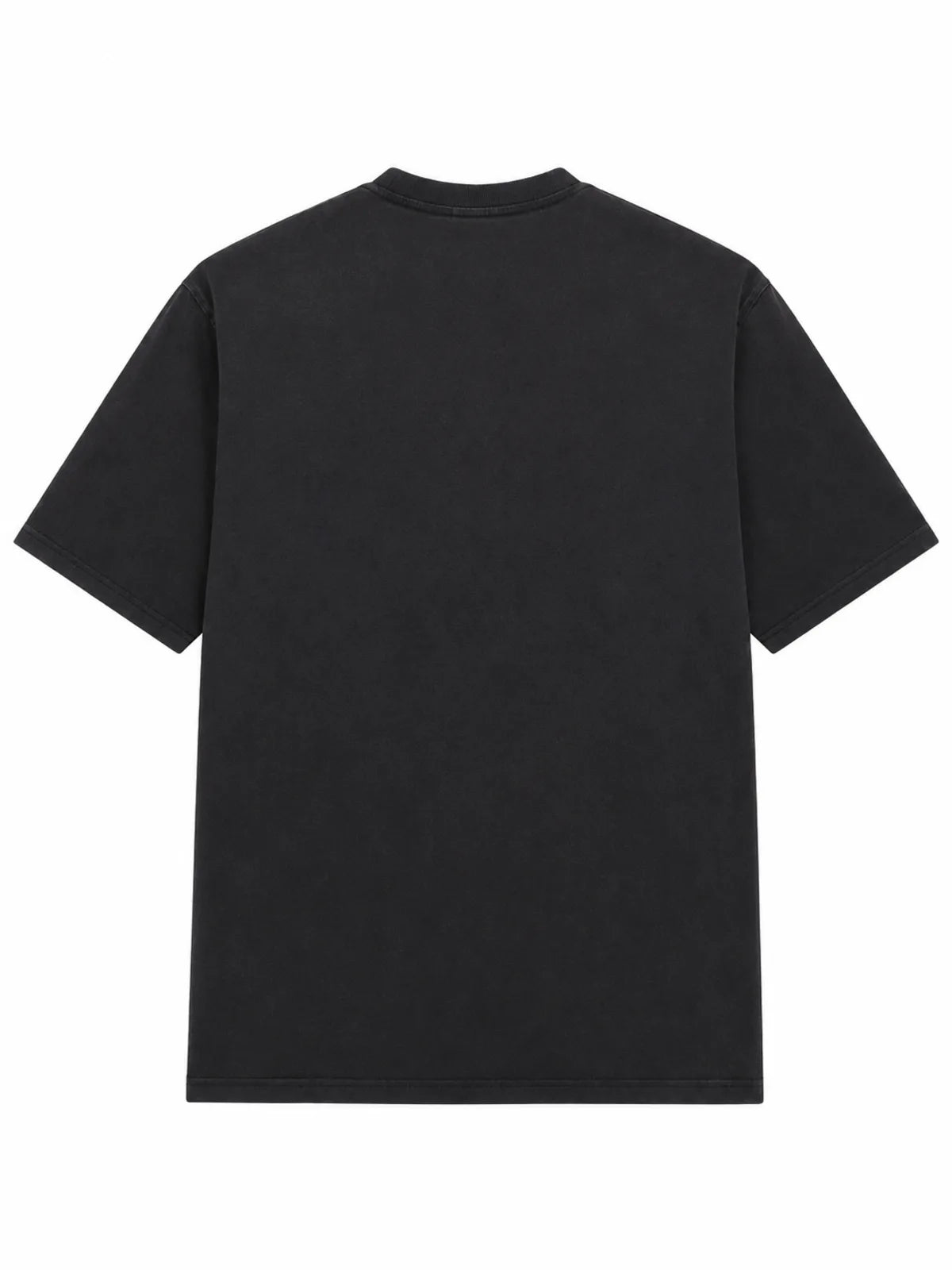 The Washed Punk Portrait Graphic Tee